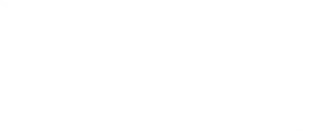 BWA ARCHITECTURE